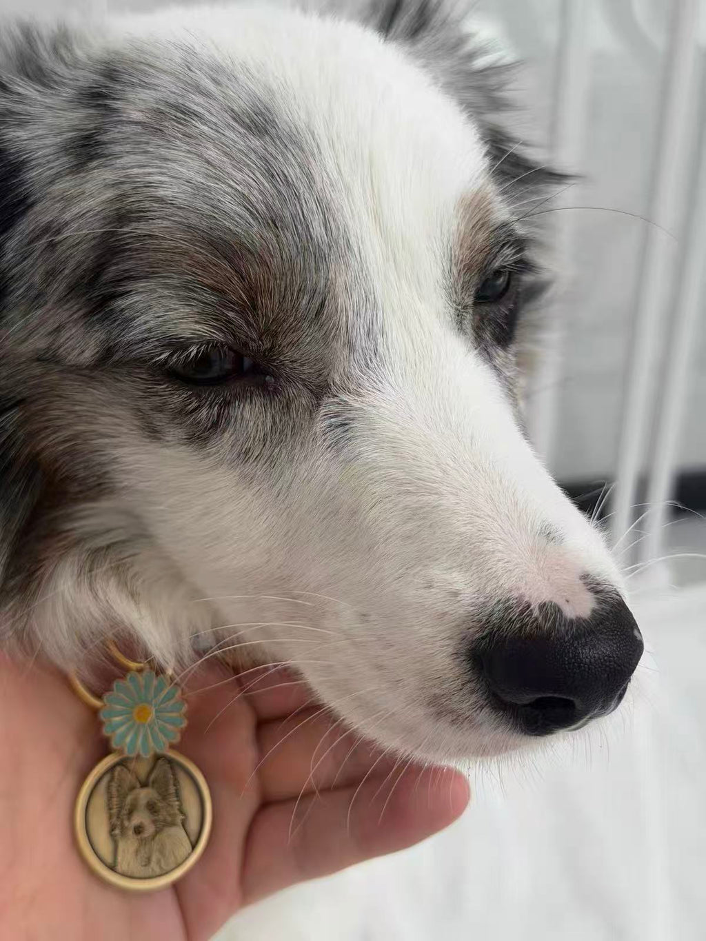 Custom Pet Memorial Necklace