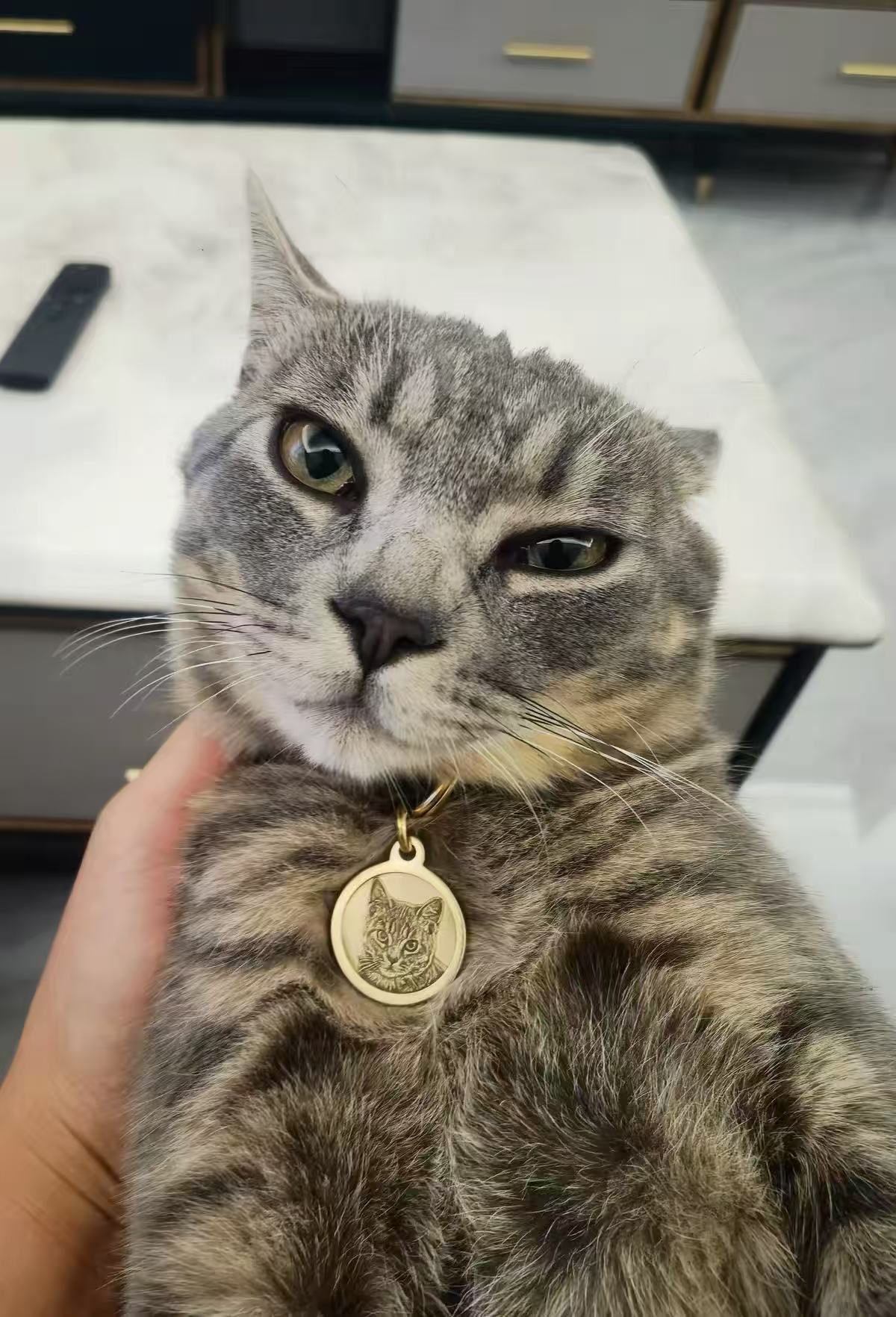 Custom Pet Memorial Necklace
