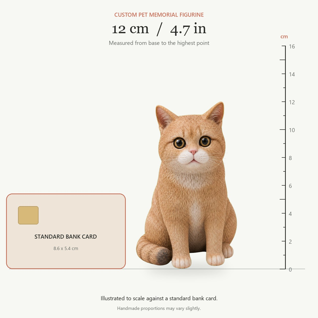 Size guide showing the proportions of a 12 cm custom pet figurine
