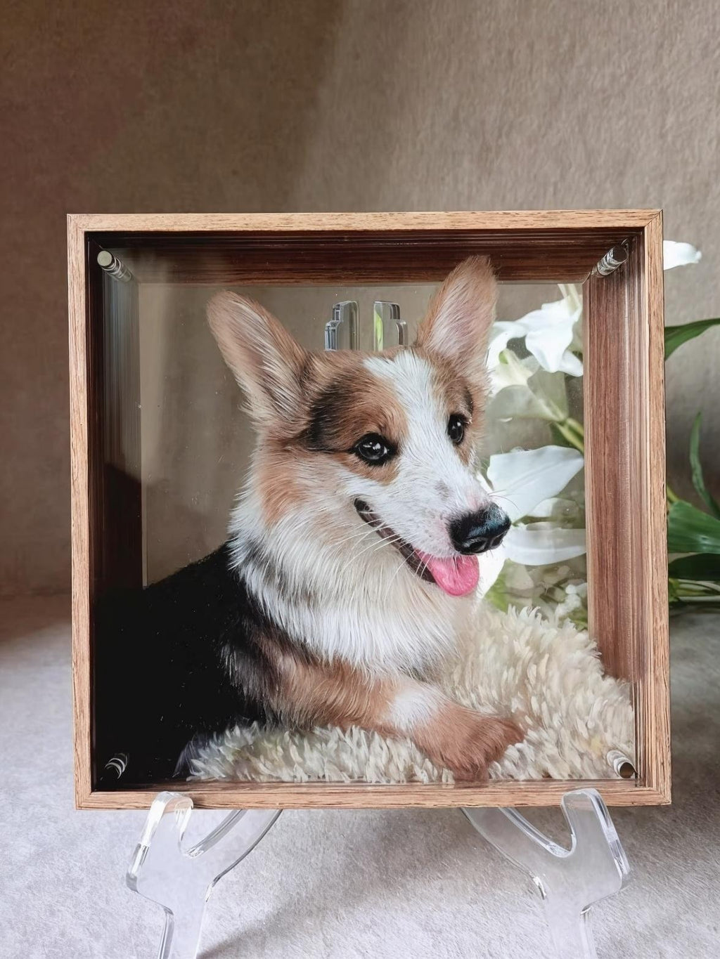 Floating Glass Pet Portrait Frame